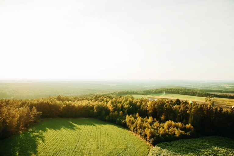 Werbeagentur, Weiden, Oberpfalz, Amberg, Cham, Hof, Marketing, Werbung, kreativmaleins, Magazin, Broschüre, bizteam, Systemhaus, IT-Partner, Innovation, Optimierung, Unternehmen, IT-Service, Datensicherung, Lösungen, Modernisierung